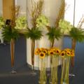 DSC01587.JPG