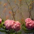 DSC01850.JPG