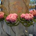 DSC01852.JPG