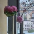 DSC01856.JPG