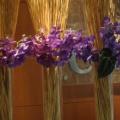 DSC01869.JPG