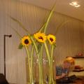 DSC03054.jpg