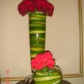 DSC03651.jpg