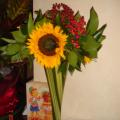 DSC03837.JPG