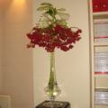 DSC04733.jpg