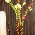 DSC04792.jpg