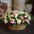 DSC00506.JPG