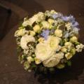 DSC00516.JPG