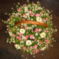 DSC00645.JPG