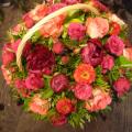 DSC00694.JPG