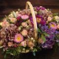 DSC00723.JPG