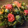 DSC00727.JPG