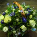 DSC00732.JPG