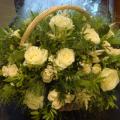 DSC00791.JPG