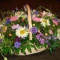 DSC00830.JPG