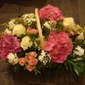 DSC00969.JPG