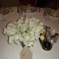 DSC00347.JPG