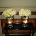 DSC00356.JPG