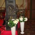 DSC00358.jpg