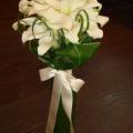 DSC00842.jpg