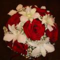 DSC00848.JPG