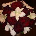 DSC00854.JPG
