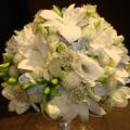 DSC00879.JPG