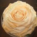 DSC00882.JPG