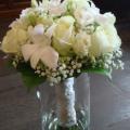 DSC00927.jpg