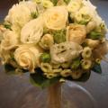 DSC00952.jpg