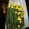 Wedding35.jpg