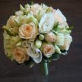 eustoma.jpg