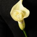 !DSC_1462.jpg